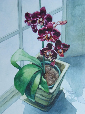 Orchids with Window