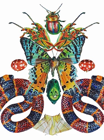 Butterfly and Snakes