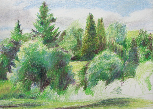 drawing of tree-filled park in Portland OR by Chris Mona