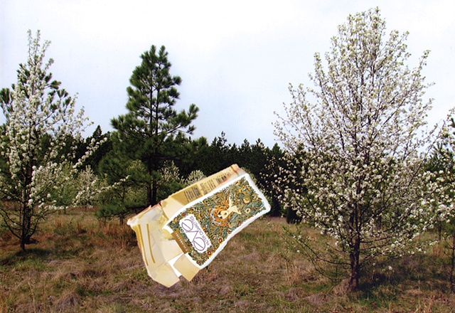 digital print and collage of a spring landscape with flowering pear trees and pine trees as a visionary experience with spilling Eve cigarette package by Chris Mona