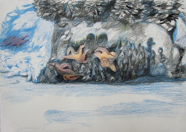 drawing of sea stars, sea urchins, and mussels in a tide pool on the Oregon coast by Chris Mona