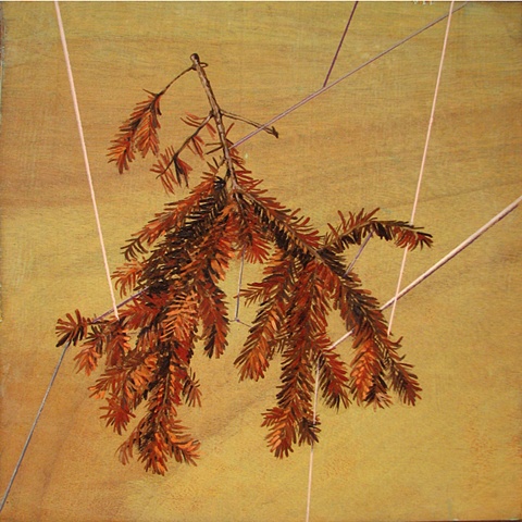 painting on wood panel of a dead spruce branch wrapped in string by Chris Mona