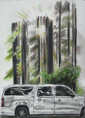 drawing of redwoods with sun rays and Denali SUV by Chris Mona