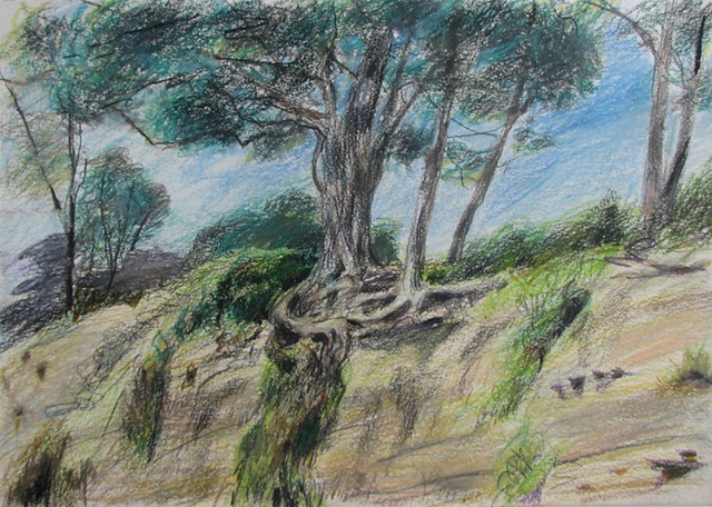 drawing of New Brighton Beach State Park, Ca by Chris Mona