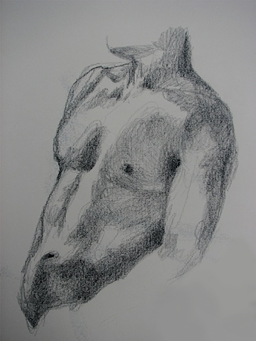 drawing of male torso by Chris Mona
