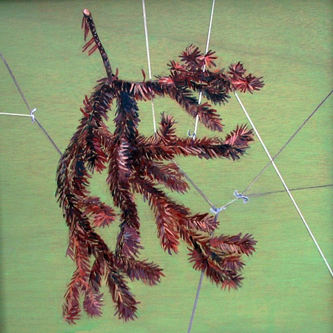painting of a dead spruce branch wrapped in string by Chris Mona