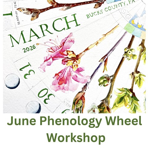 June Phenology Wheel Workshop