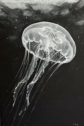 Creative Charcoal: Sea Creatures & Ocean Life