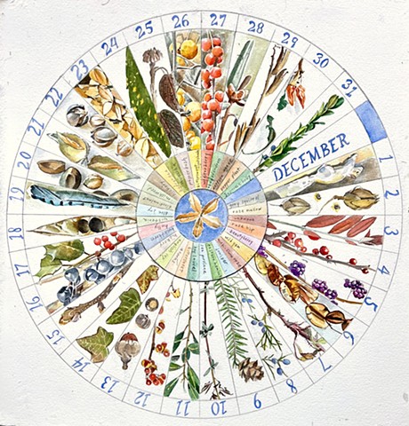 Phenology Wheels Workshop