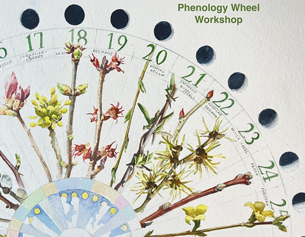 June Phenology Wheel Workshop (click on image for more information)