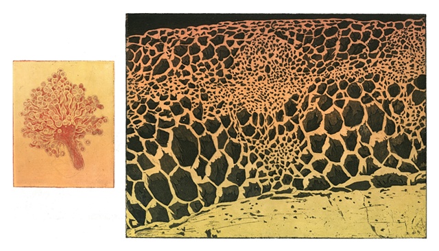 cells, volcano, landscape, nature, art, specimens, atmospheres intaglio printmaking by brigitte caramanna