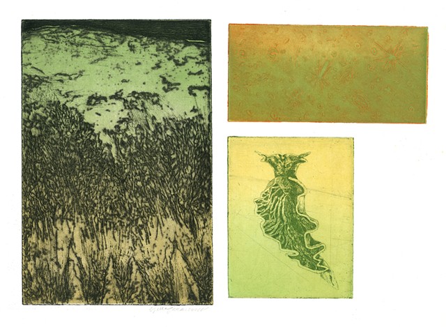 Brigitte Caramanna, planet, sky, gallaxies, slug, space, specimens, intaglio printmaking by brigitte caramanna