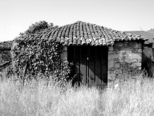 "Farm House With Weeds"

Many farm houses such as this one have been unkept for a long time. Yet the beauty of the scenery is unmistakable.
