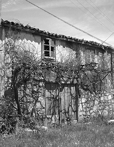 Old house with grape arbor