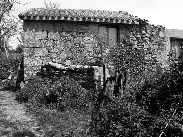 "Remains of a House with Weeds"

Another beautiful old house in a village called O Mato, in Galicia