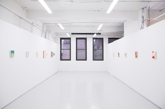 Install image of Intimates, a two person exhibition with Max Manning at Skylab Gallery. 