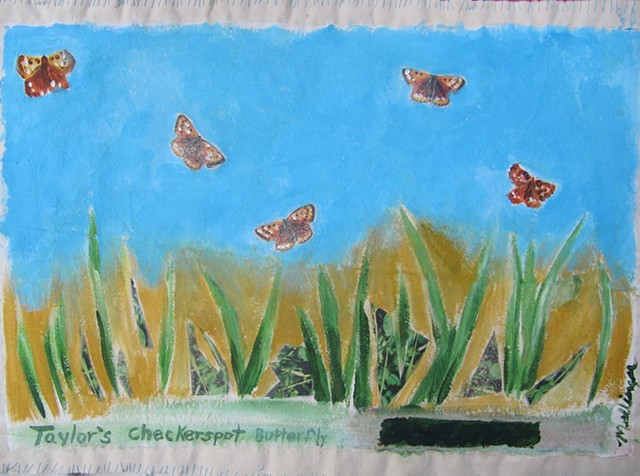 "Taylor's Checkerspot Butterflies"or nature doormat