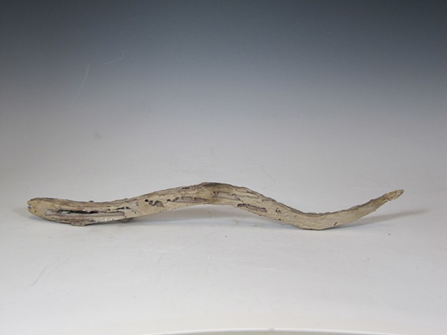 Sharp tailed snake