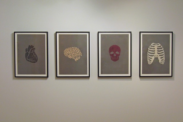 install shot of body drawings