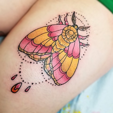 Rosy Maple Moth Tattoo