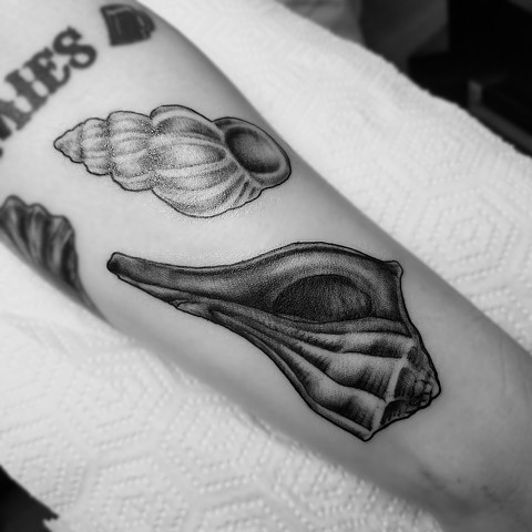 Sea shell tattoo