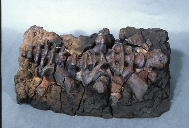 raku fired ceramic clay sculpture skeletal skeleton fossil osteal bone bonelike