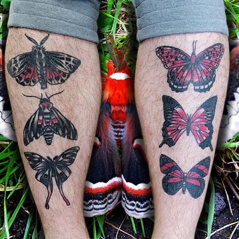 Traditional style butterflies and moths by Gina Matuo of Copper Fox Tattoo in Kissimmee Florida
