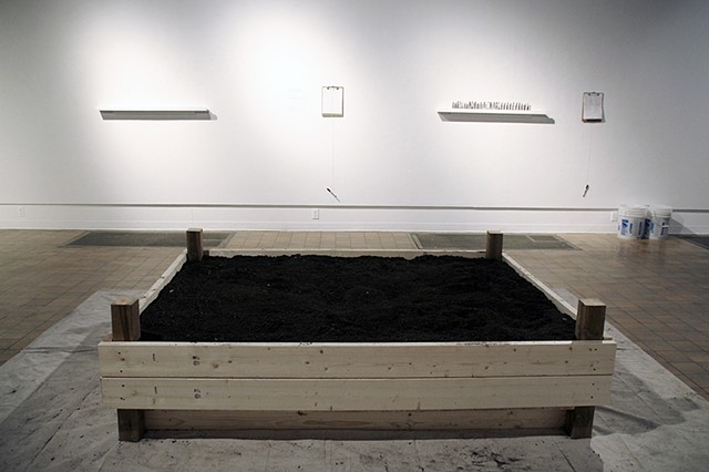 Soil Bed, Life in the Soil