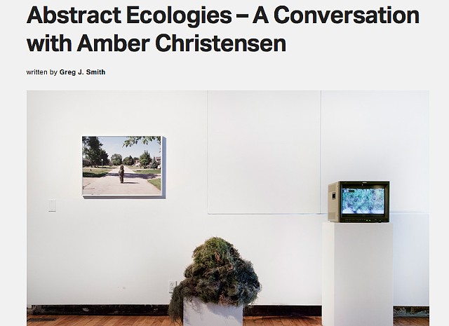 Abstract Ecologies 