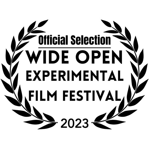 Screening at Wide Open Experimental Film Festival 