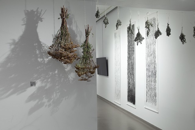 Installation View, Processes of Remediation: art, relationships, nature