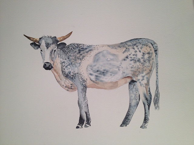 Watercolour Nguni "Friday" by Hilary Haynes