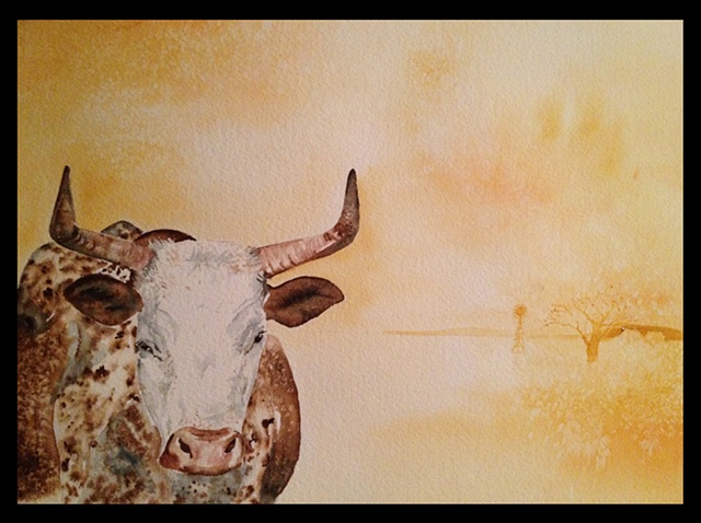 Watercolour Nguni Bull by Hilary Haynes 