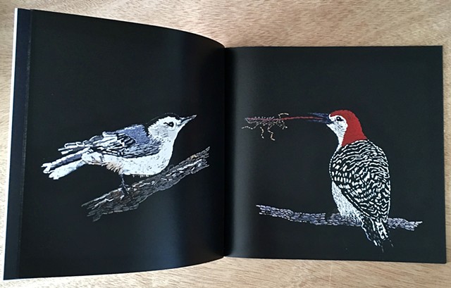 BIRD BOOKPhoto Book of BirdsHand Embroidered on Black Cloth