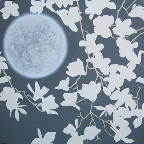 moon magnolia blossoms dewdrops