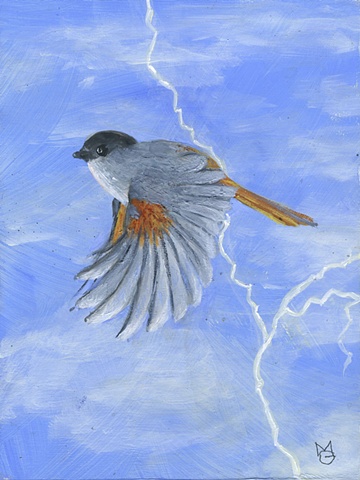 little grey bird in flight with lightning