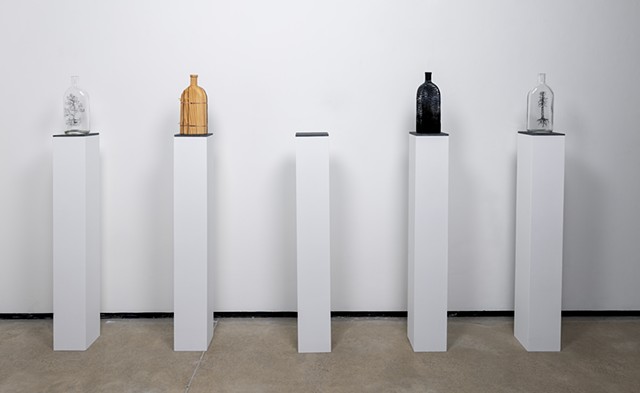 Antithetical Polarity in a Symbiotic Existence