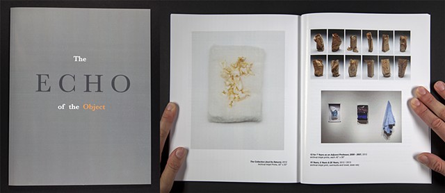 "Echo of the Object" with an essay by Lara Kuykendall and an interview by Natalie Phillips, Published by Ball State University School of Art, 2014