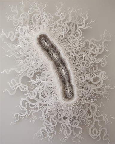 art meets science in surreal paper cut bacterium