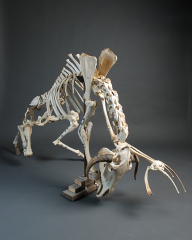 kevin vanek, Bones, Bone Art, Sculpture, Found object Sculpture