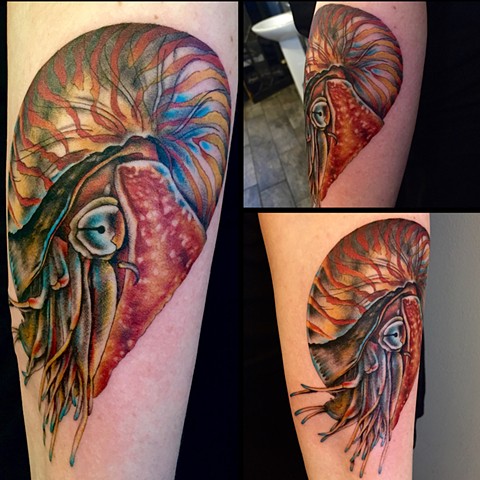 this is a tattoo of a nautilus done by amanda marie at evermore tattoo in los angeles california 