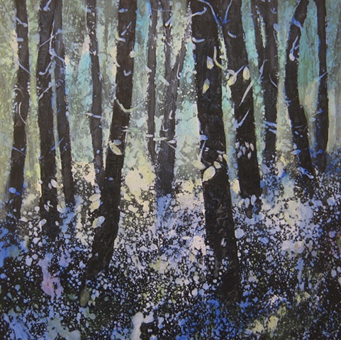 Birch Woods