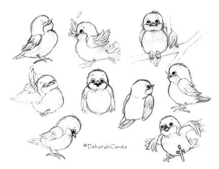 Bird character Sketches