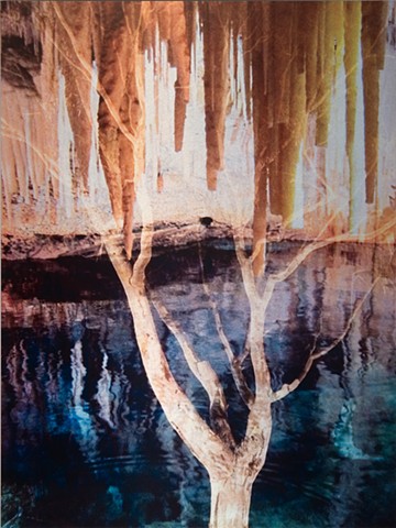 Photomontage collage metal photograph infused on to aluminum of spiritual mystical tree in grotto and reflective water by Brandy Eiger Mixed Media artist
