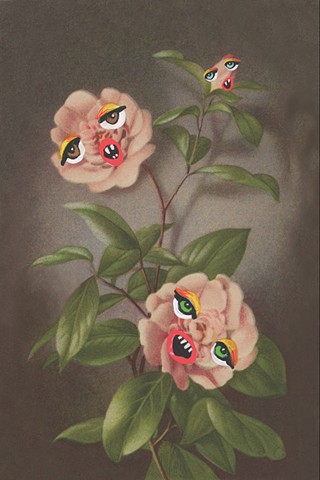 Chorus Camellia