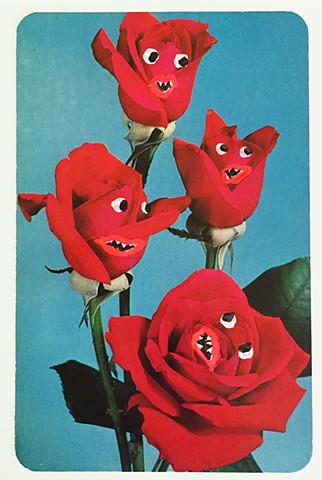 The Angry Roses, 1