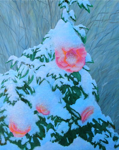 Roses and Snow