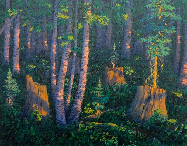 A painting of a nursery tree, an old stump which fosters the growth of a seedling tree in its decaying core, near Fernie, B.C. 