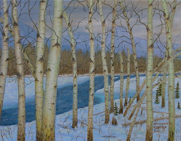 A painting in Fernie, B.C. of winter-time of aspen trees painted from a trail over the partly frozen Elk River.