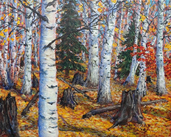 A painting of golden-yellow aspen leaves which totally carpet the ground in the fall / autumn in the Elk Valley, near Fernie, B.C.